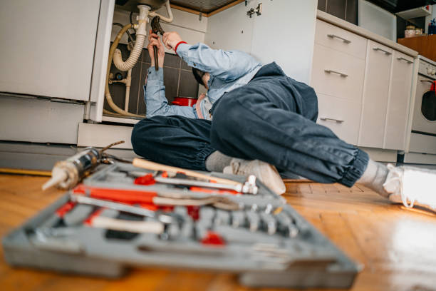 Best Toilet Repair Services  in Carrollton, OH